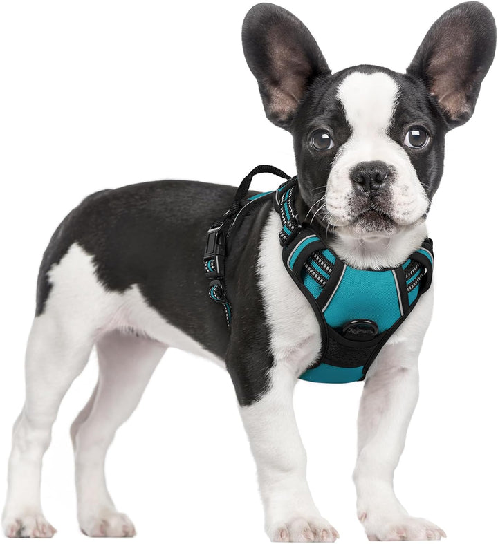 Dog Harness No Pull with 2 Leash Clips, Adjustable Soft Padded, Reflective Oxford No Choke Pet Vest with Easy Control Handle for Large Dogs, Black, L