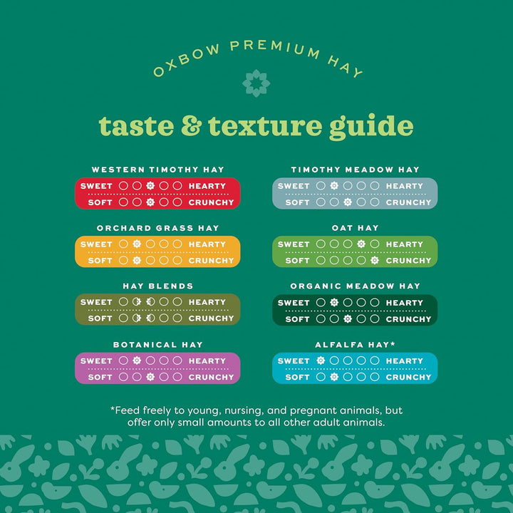 Orchard Grass Hay for Small Pets – All-Natural Long Strand Fiber Hay for Rabbits, Guinea Pigs, Chinchillas, and Hamsters – Supports Digestive Health and Enrichment – 40 Oz Bag