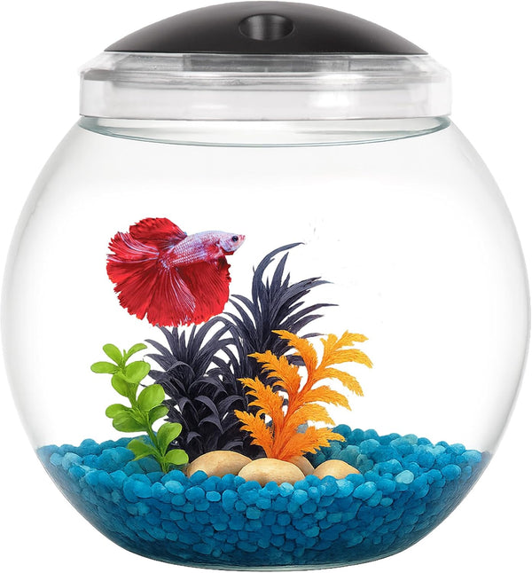 1-Gallon Globe Fish Bowl, Impact- Resistant Plastic Aquarium Starter Kit with LED Lighting, Built-In Timer, Crystal-Clear Clarity, Desktop Fish Tank for Home Décor