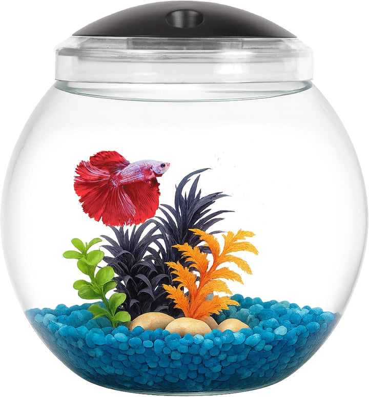 1-Gallon Globe Fish Bowl, Impact- Resistant Plastic Aquarium Starter Kit with LED Lighting, Built-In Timer, Crystal-Clear Clarity, Desktop Fish Tank for Home Décor