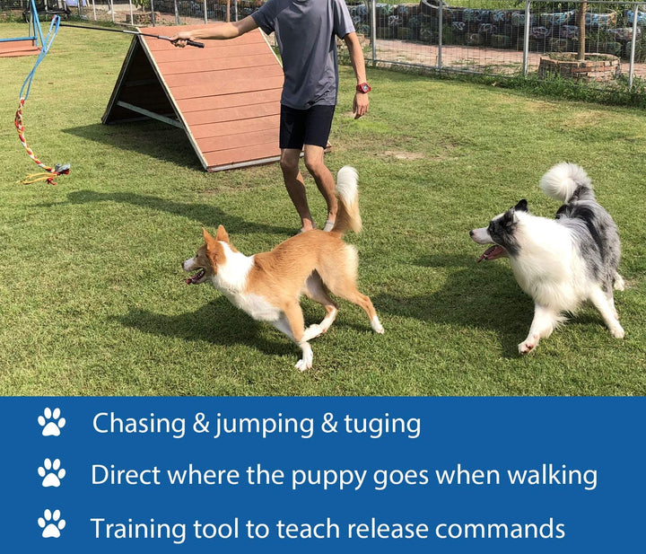 Interactive Flirt Pole Toy for Dogs Chase and Tug of War,Durable Teaser Wand with Pet Fleece Rope Tether Lure Toy to Outdoor Exercise & Training for Small Medium Large Dogs (Blue/Red, POLE-35 Inches)