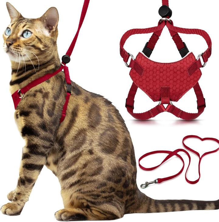 Houdini™ Escape Proof Cat Harness and Leash Set by  – Black, Medium Cat Harness for Walking
