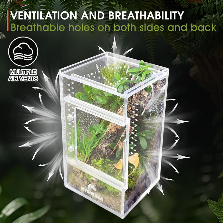 Jumping Spider Enclosure Accessories, Tarantula Spider Box, Bug Cage, Praying Mantis Habitat Enclosure, Snail Insect Terrarium, Caterpillar Habitat (3X3X6 Inch)