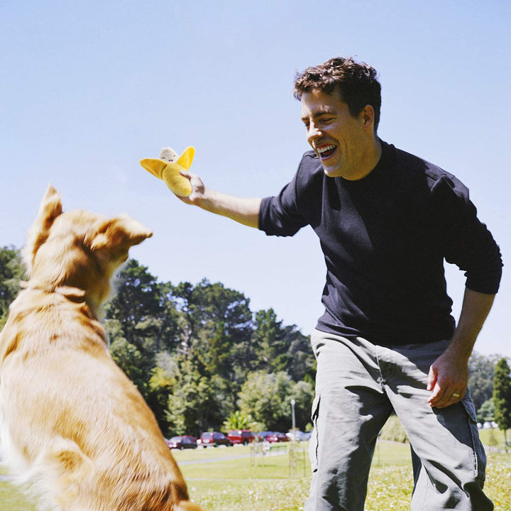 Dog Squeaky Toys, Plush Small Dog Toys for Dogs, Stuffed with Squeakers,12 Pcs Puppy Toys with a Carrying Bag for Small Medium Size