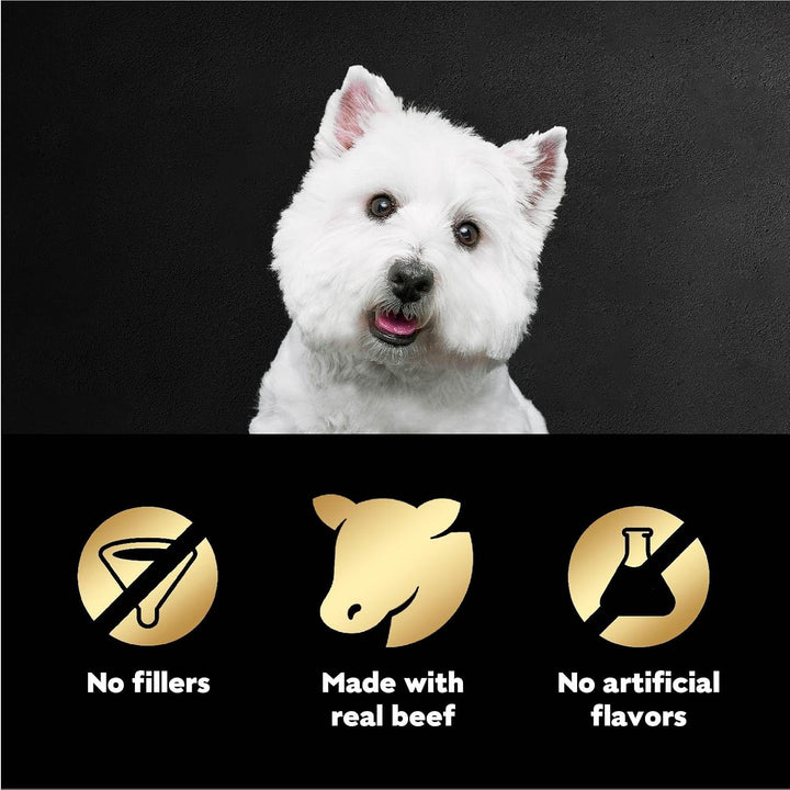 Filets in Gravy Wet Dog Food Filet Mignon Flavor, 1.76 Oz. Mini-Pouch (20 Count, Pack of 1)