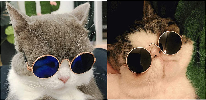 2Pcs Random Color Small Cat Kitten Glasses Pet Glasses Dog Sunglasses Pet Supplies Kittens Pet Sunglasses 3 Cm/1.1 Inch Cosplay Costume Photos Props