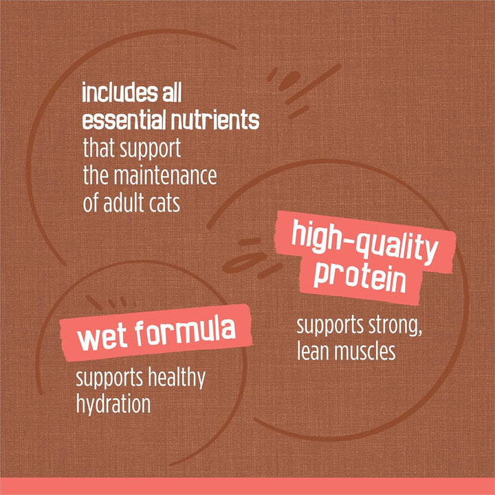 Purina  Extra Gravy Wet Cat Food Chunky 24Ct Variety Pack (With Chicken, Turkey, Salmon, Beef) - (Pack of 24) 5.5 Oz. Cans