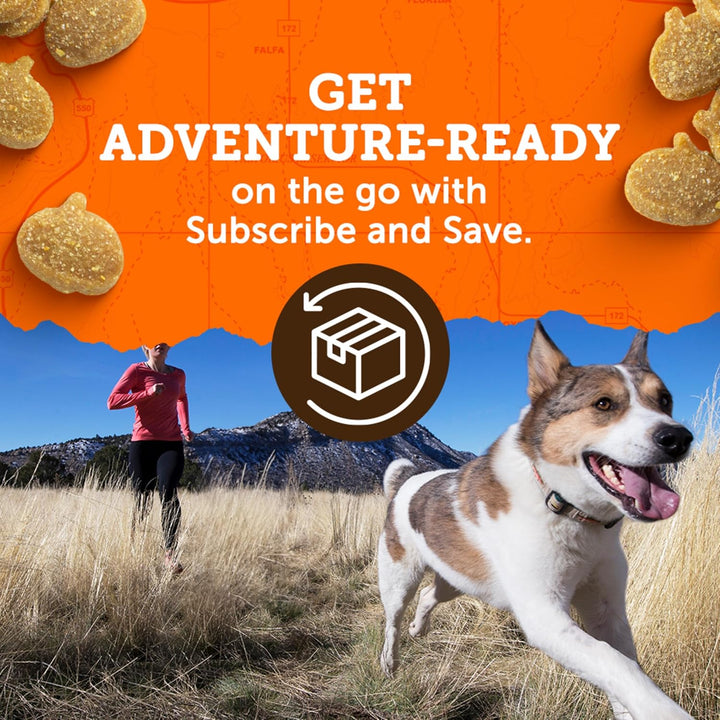 Zuke’S Mini Naturals Dog Training Treats for Dogs, Pet Treats Made with Real Chicken, 16 Oz