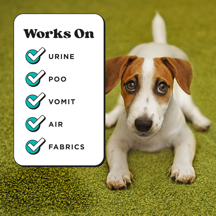 Pet-Pourri Pawsitively Fresh Pet Odor Deodorizer Spray, 16 Fl Oz, up to 800 Uses, Air + Fabric Odor Remover with Essential Oils & Plant Based Ingredients, Vet Recommended, Pineapple, Jasmine & Pear