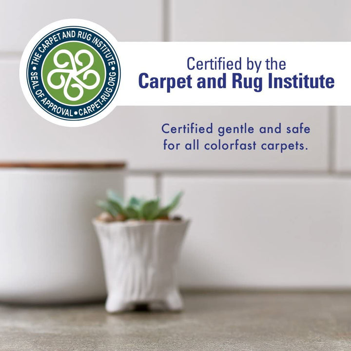 Stain & Strong Odor Eliminator, Enzyme Cleaner, Pet Odor Eliminator for Home - Carpet Stain Remover for Cats & Dog Pee - Urine Destroyer - Carpet Cleaner Spray Clear, 32 Fl Oz