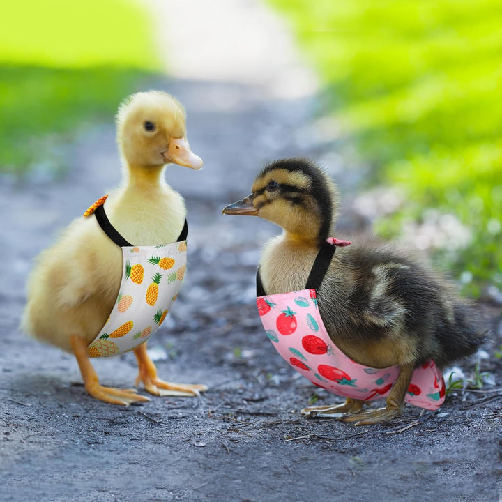 6 Pcs Washable Chicken Diapers Reusable Pet Diaper with Bow Tie for Pet Ducks Hens Goose Clothes Poultry Nappies Waterproof Adjustable for Hen Rooster Chicken(Classic,M)