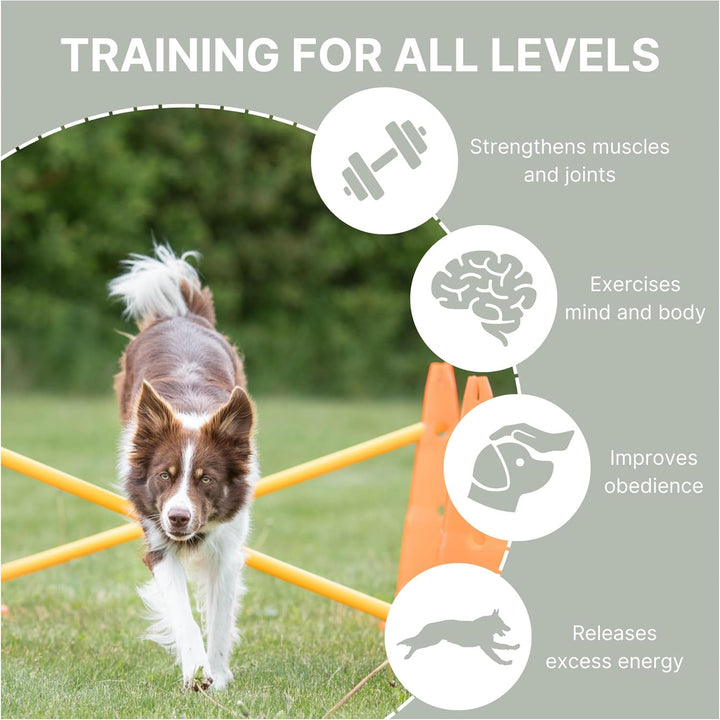 Dog Agility Hurdle Cone Set – Dog Agility Set with Height Adjustable Crossbar for Beginners & Advanced, Dog Agility Equipment for Dog Obstacle Courses – 6 X Cones, 3 X Agility Rods