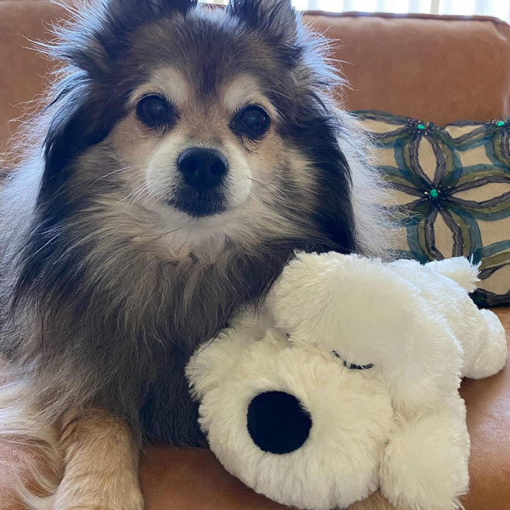 Original  Toys for Small Breeds - Heartbeat Puppy for Dogs - Pet Anxiety Relief and Calming Aid - Comfort Dog Toys for Behavioral Training. Heat Pack Not Included