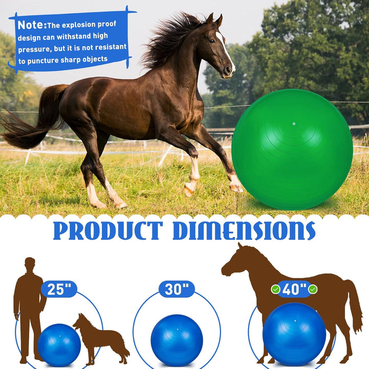 2 Pcs 40 Inch Horse Ball for Play Large Horse Big Equine Herding anti Burst Dog Ball Soccer Giant, Pump Included(40 Inch,Green, Blue)