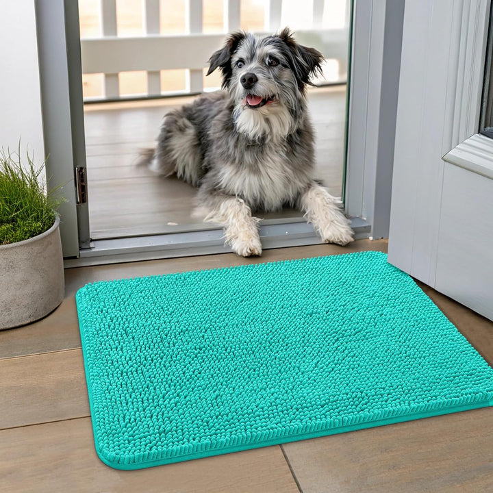 Dog Door Mat for Muddy Paws 30X20, Absorbs Moisture and Dirt Doormat, Non-Slip Washable Quick Dry Chenille Front Door Mat Indoor Entrance, Entryway Carpet for inside Floor, Grey