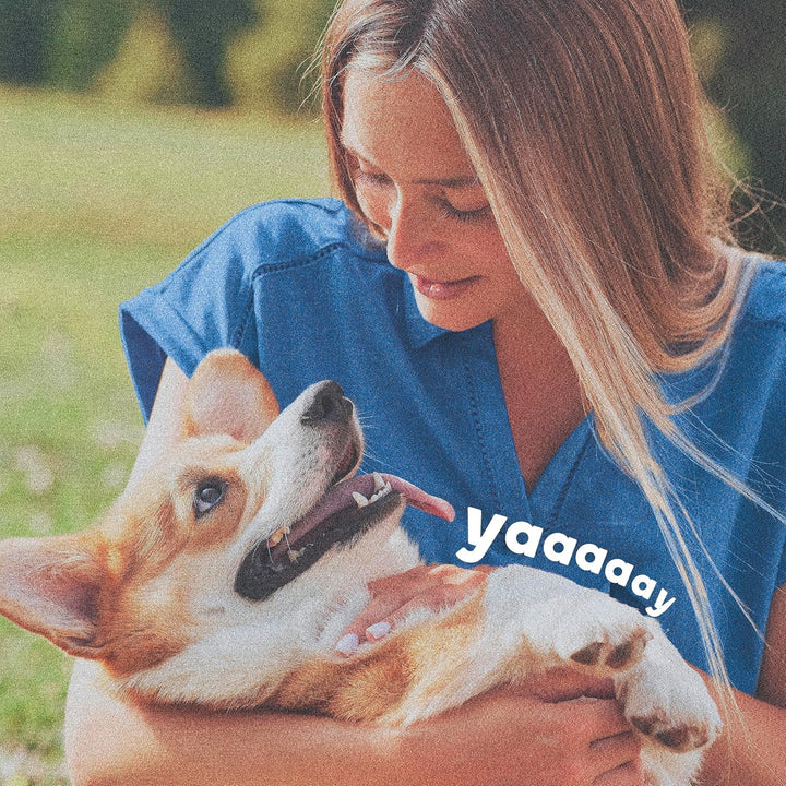 Flea & Tick Collar for Dogs & Puppies, 2 Pack, 12 Month Protection, Adjustable One Size, Kills Fleas, Ticks & Repels Mosquitoes, excluding California