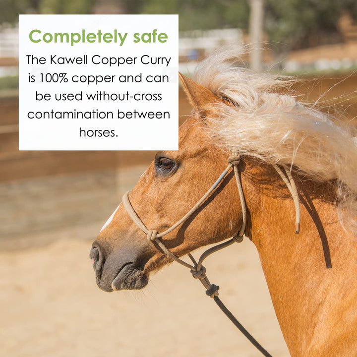 Oval Face Curry Comb Brush for Horse Grooming and Coat Care with Grip Handle