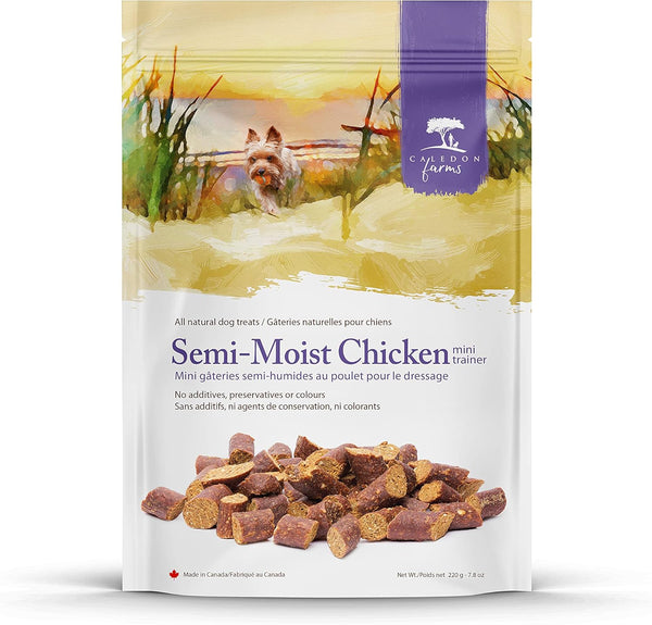 Mini Trainers- Semi Moist Chicken Treat Dog Treats:220G/7.8Oz