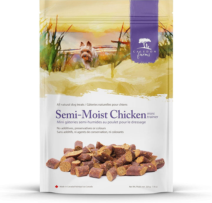 Mini Trainers- Semi Moist Chicken Treat Dog Treats:220G/7.8Oz