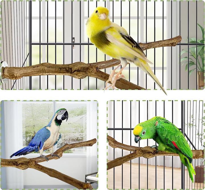 Natural Parrot Perch Bird Stand Pole Wild Grape Stick Paw Grinding Fork Parakeet Climbing Standing Branches Toy Chewable Cage Accessories for Small Budgies Cockatiels Lovebirds 3PCS