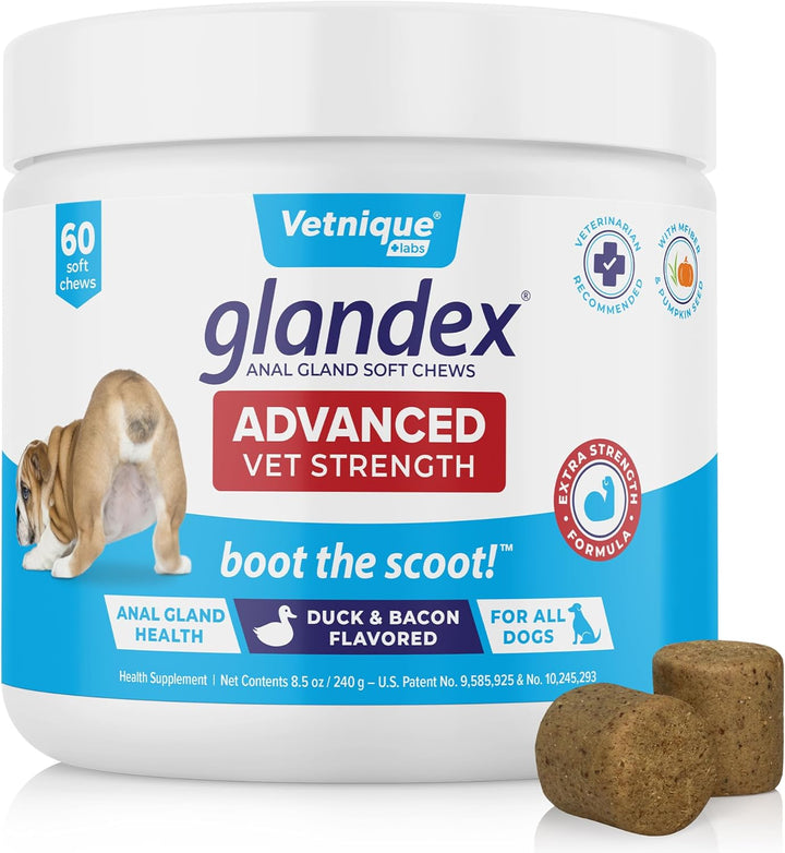 Glandex Anal Gland Soft Chew Treats with Pumpkin for Dogs Digestive Enzymes, Probiotics Fiber Supplement for Dogs Boot the Scoot (Peanut Butter Chews, 60 Count)