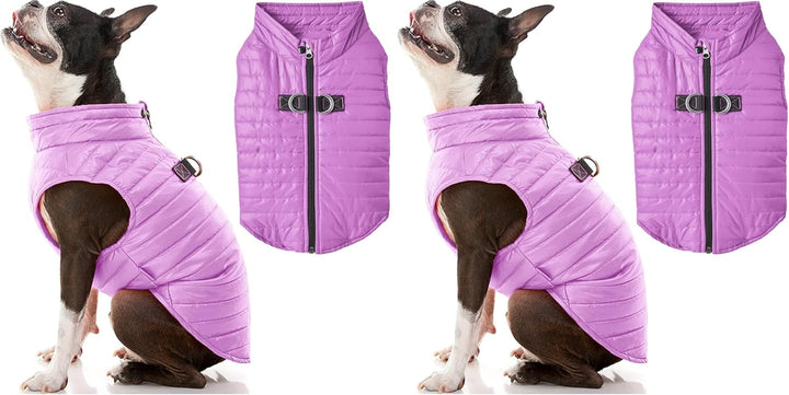 Boys Classic Puffer Dog Vest, Turquoise, Large Chest 20.75 US