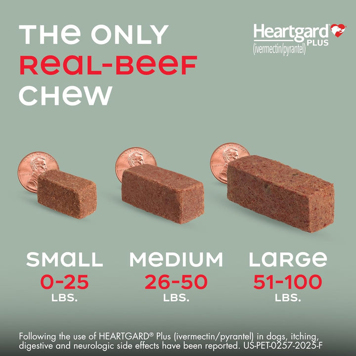 ® plus (Ivermectin/Pyrantel) Real-Beef Chewables for Dogs up to 25 Lbs (Blue Box) 6 Month Supply of Chews (Heartworm Disease Preventive)