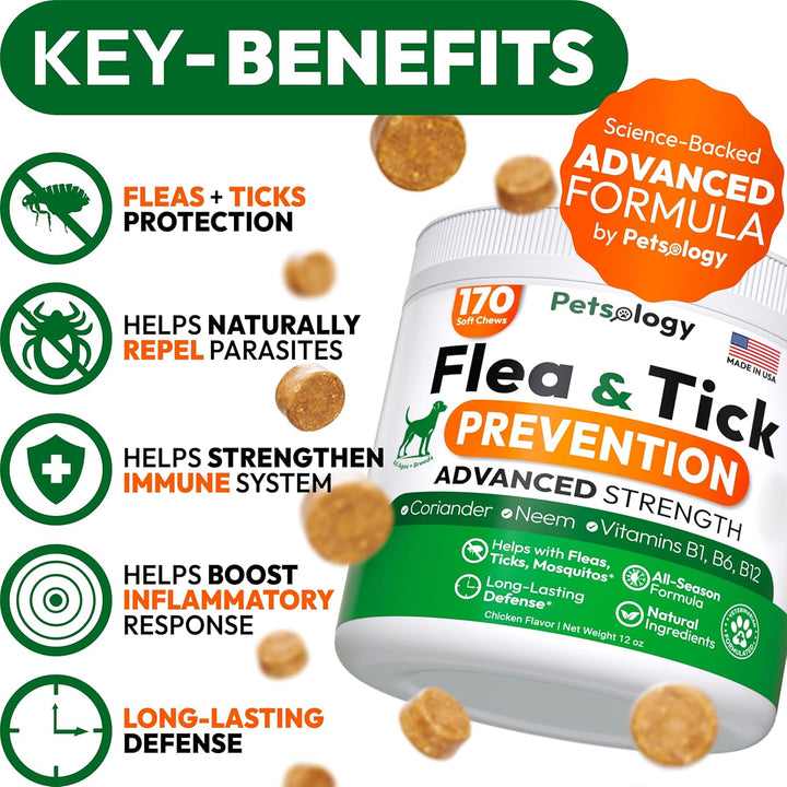 Flea and Tick Prevention for Dogs Pills - Natural Dog Flea & Tick Control - 170 Soft Chewables - Oral Defense Treatment for Dogs Supplement - Vet Formulated Chews - All Breeds & Ages - Made in USA