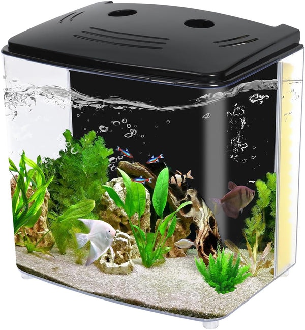 Fish Tank, 1.2 Gallon Aquarium, Small Betta Fish Tank Starter Kit with LED Light and Water Filter Pump, Rectangular