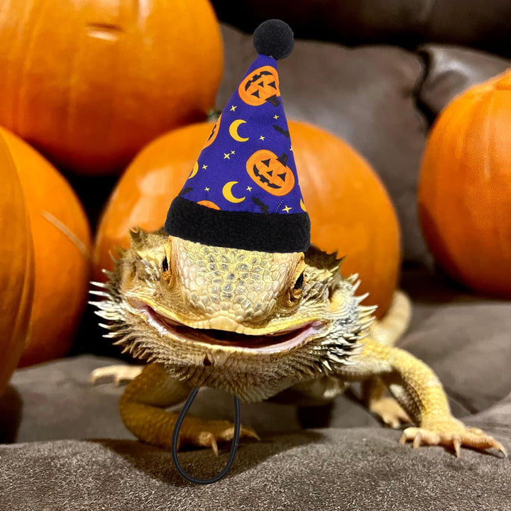 Halloween Bearded Dragon Costume, Cute Pumpkin Pattern Holiday Small Pet Clothes and Hat Set Outfit, Lizard Reptiles Small Animal Accessories