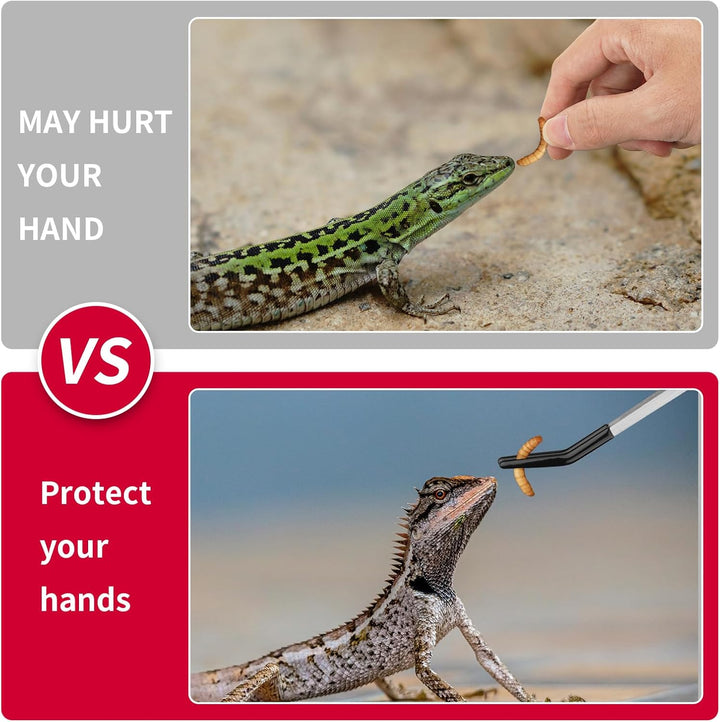 2PCS Stainless Steel Reptile Feeding Tongs with Rubber Tip, 10.6” Straight & Curved Long Tweezers for Aquarium or Craft, Bearded Dragon Tank Snakes Enclosure Accessories, Terrarium Supplies