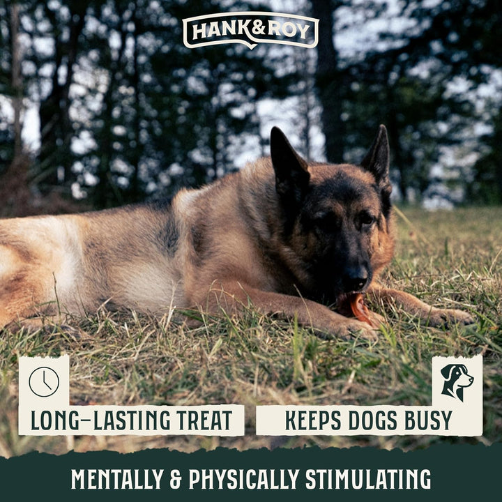 Hank & Roy Pig Ears for Dogs, All-Natural, Single-Ingredient, Long Lasting, Easily Digestible Whole Pig Ear Dog Treats, Antibiotic and Hormone Free, Individually Wrapped for Odor Control and Freshness