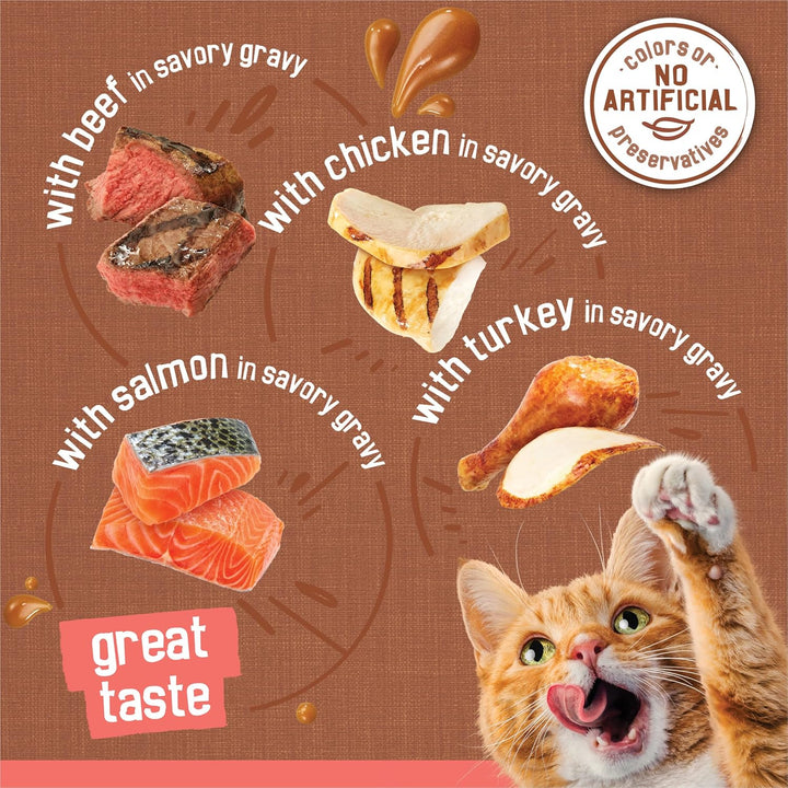 Purina  Extra Gravy Wet Cat Food Chunky 24Ct Variety Pack (With Chicken, Turkey, Salmon, Beef) - (Pack of 24) 5.5 Oz. Cans