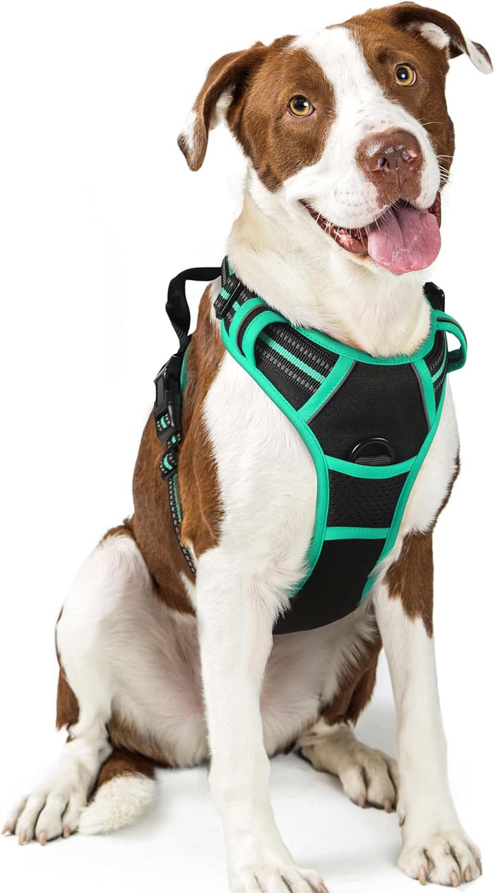 Dog Harness No Pull with 2 Leash Clips, Adjustable Soft Padded, Reflective Oxford No Choke Pet Vest with Easy Control Handle for Large Dogs, Black, L