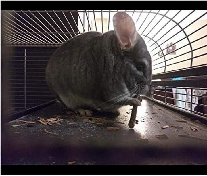 250G Apple Sticks Small Animals Molar Wood Treats Toys for Rabbits Chinchillas Guinea Pig Hamster Gerbil Parrot Bunny and Small Animals Chew Stick Toys Treats