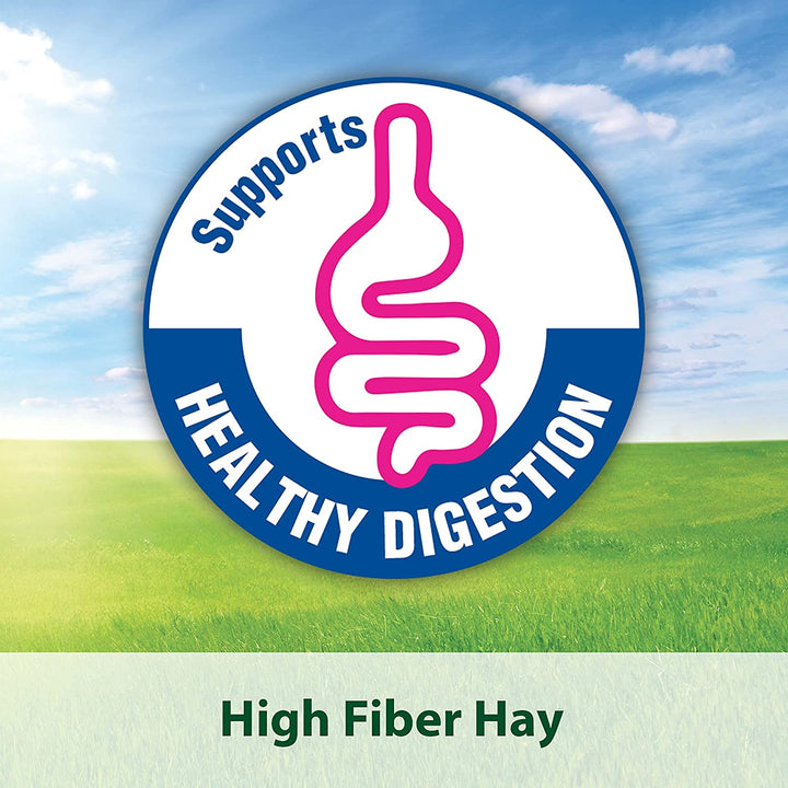 Alfalfa Cubes for Rabbits, Guinea Pigs, and Other Small Animals, 15 Oz