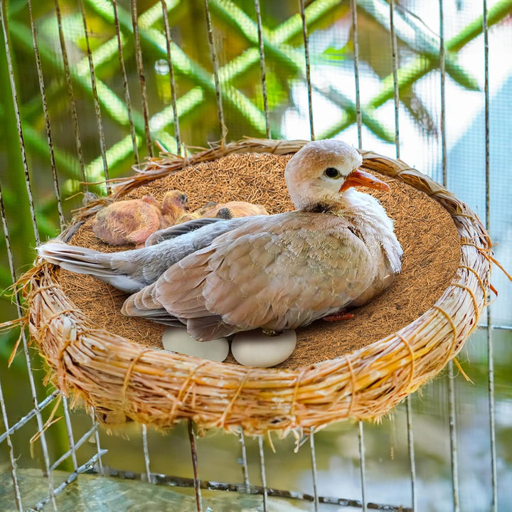 15 Packs Pigeon Nest Pads, Bird Breeding Mat for Chicken, Natural Coconut Fiber Bird Egg Mat, Nesting Bowl Box Pad for Parakeet Chicken, Pigeon Hatching Bedding Accessories