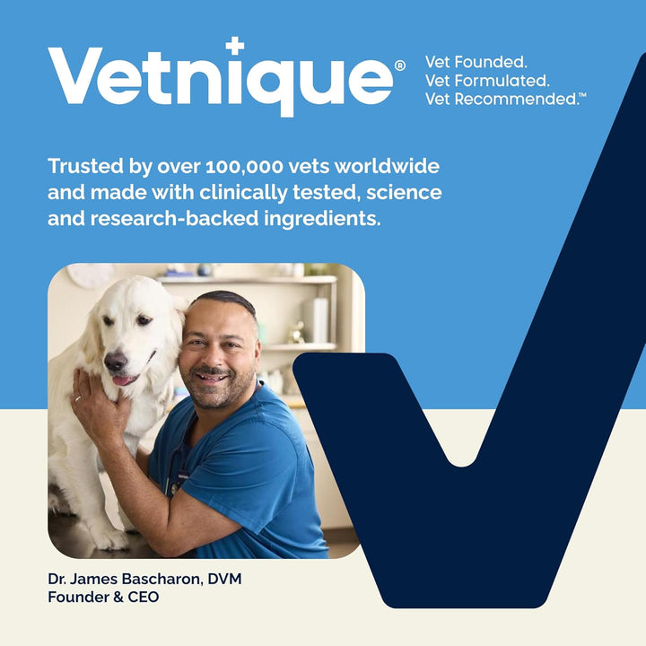 Glandex Anal Gland Soft Chew Treats with Pumpkin for Dogs Digestive Enzymes, Probiotics Fiber Supplement for Dogs Boot the Scoot (Peanut Butter Chews, 60 Count)