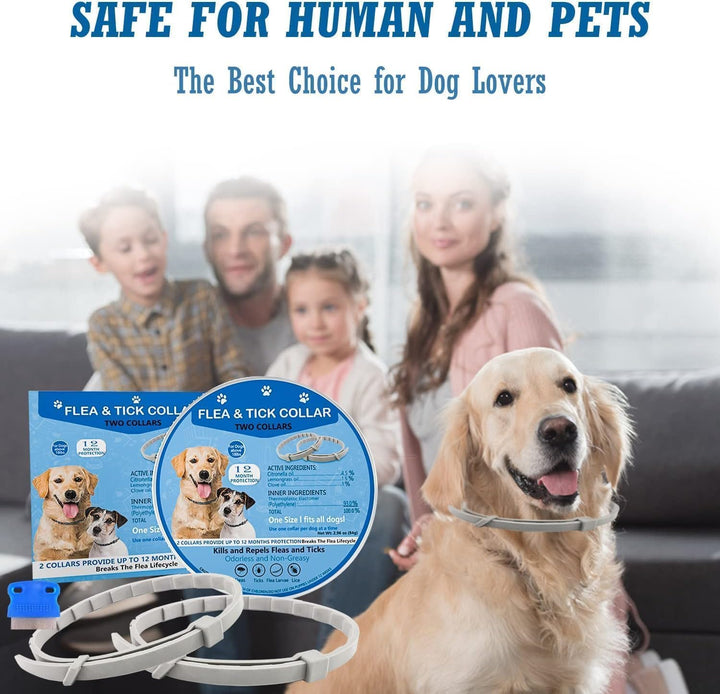 Flea Collar for Dogs, 2 Pack Collar for Dogs, 12 Months Protection, Waterproof, Adjustable One Size Fits All