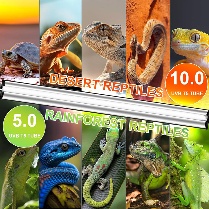 8W T5 10.0 UVB Reptile Light Fixture 12" – High Output UVA UVB Light for Bearded Dragons, Turtles & Snakes – Compact UVB Lamp for Desert & Tropical Reptiles (UVB 10.0-Desert, 12INCH-8W)