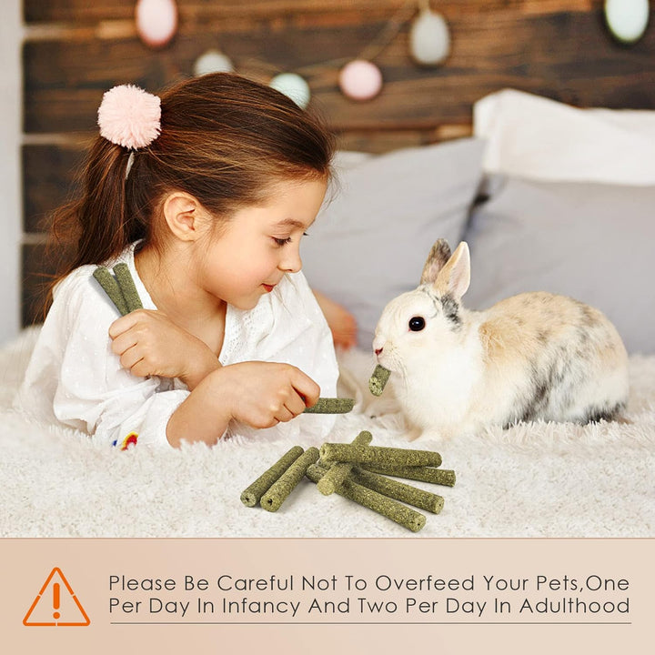 Timothy Hay Sticks for Rabbits 38PCS, Natural Timothy Grass Molar Teeth Stick Chew Toys for Bunnies Chinchillas Guinea Pigs Hamsters and Other Small Animals Treats