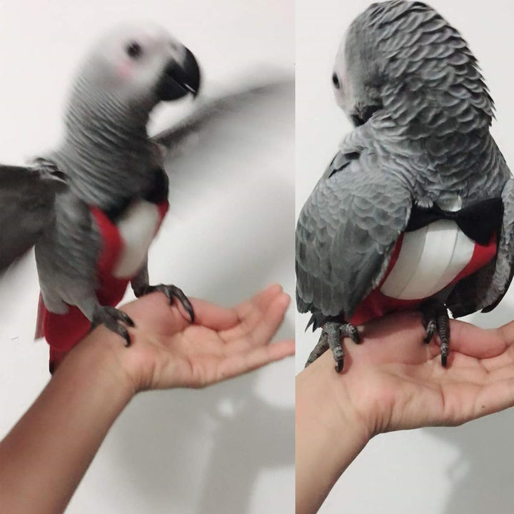 2 Pack Bird Diapers, Cockatiel Tuxedo Flight Suite, Reusable Parrot Nappy Clothes Costume for Wedding Party Birthday Cosplay Photo, Pigeon Pants Urine Wet Suit for Conure Macaw Budgies Parakeet
