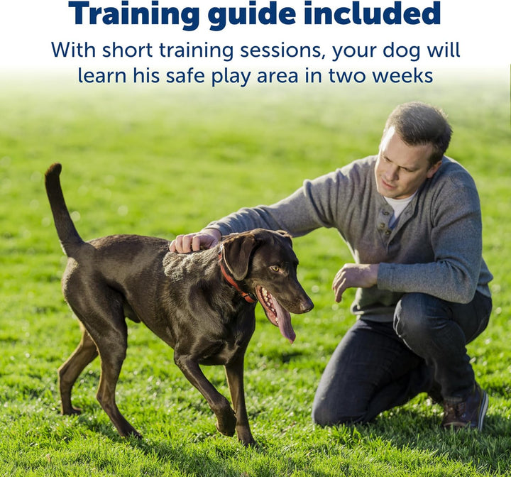 Stay & Play Wireless Fence Receive Collar for Stubborn Dogs - Rechargeable & Waterproof Receiver Collar with Quick Charge in 2-3 Hours - for Dogs 5Lb+