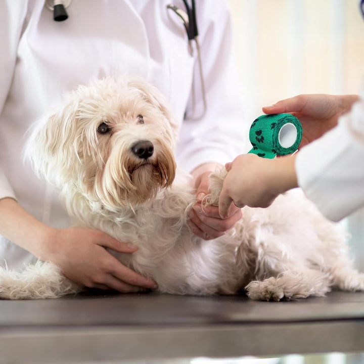 Vet Wrap for Dogs,Bandage Wrap,12Pcs 2 Inches X 5 Yards Pet Prewrap Cohesive Bandages Bulk Self Adhesive Dog Paw Protector for Horse, Cat, Bird, Pet Animal