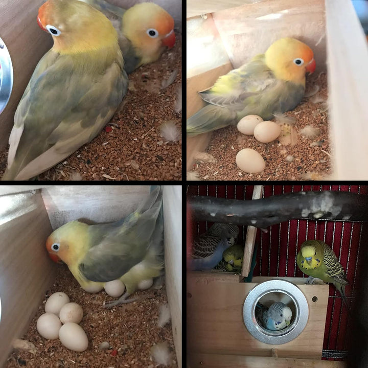 Parakeet Nesting Box Bird House Wood Breeding Box Parrots Mating Box for Lovebirds Budgie Finch Cockatoo Canary and Medium-Sized Birds(S)