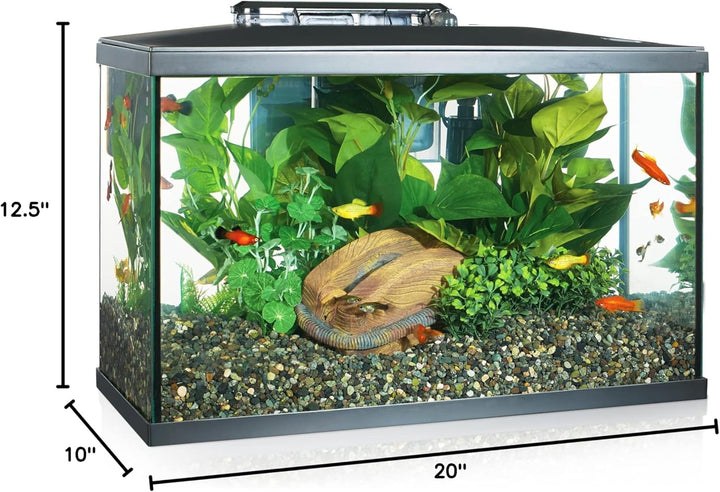 LED Aquarium Kit, 10 Gallon