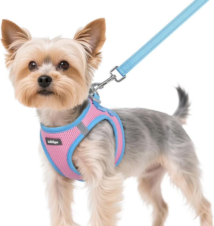 Dog Harness Small Sized and Leash Set, Step-In Breathable Pet Harness, Soft Walking Reflective Puppy Vest for Small Dogs, Black & Rose Red, S