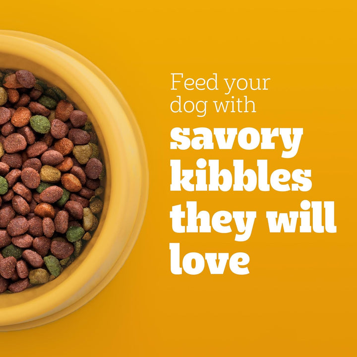 Complete Nutrition Adult Dry Dog Food, Grilled Steak & Vegetable Flavor, 18 Lb. Bag