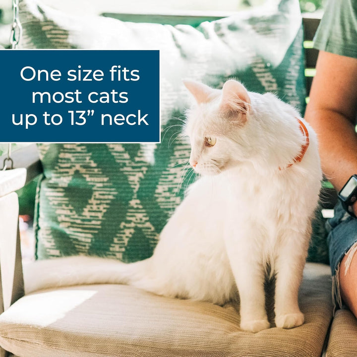 - Flea and Tick Cat Collar - Flea, Tick, and Mosquito Repellent, Prevention for Cats - with Natural Essential Oils - Pet and Family Safe - up to 4 Months Protection