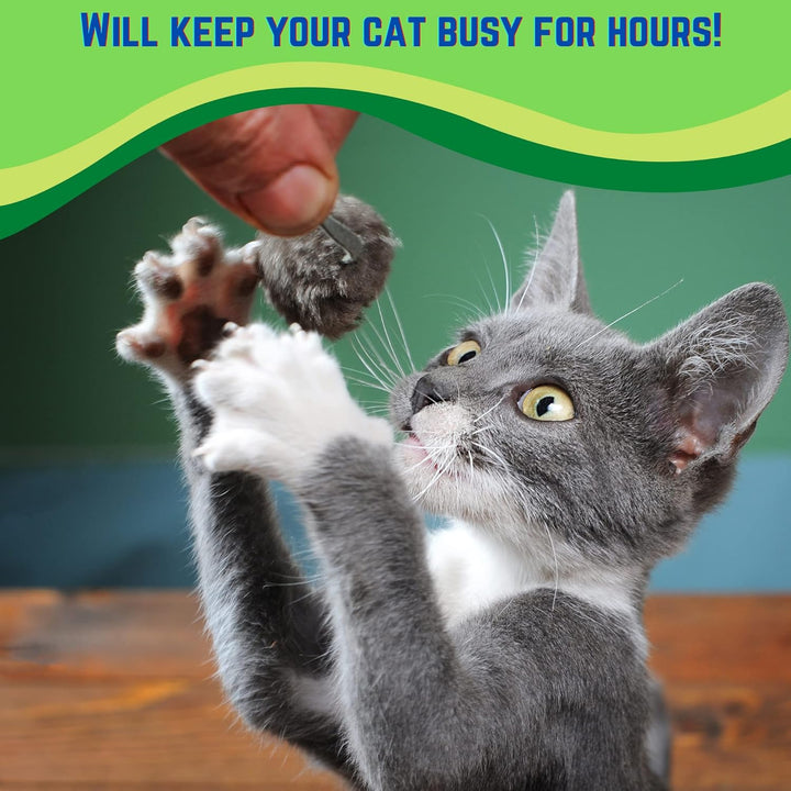 Rabbit Fur Mouse Cat Toy 12 per Pack White and Gray Fuzzy Toys for Cats with Rattle Realistic Fake Mice (12)